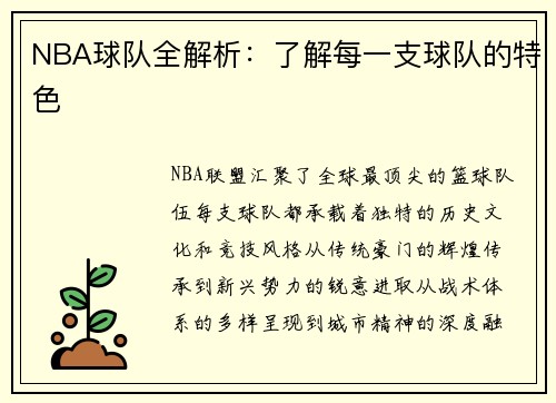 NBA球队全解析：了解每一支球队的特色